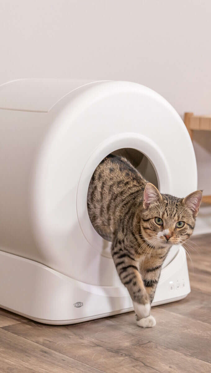 TRIXIE Smarte selbstreinigende Katzentoilette 340x600